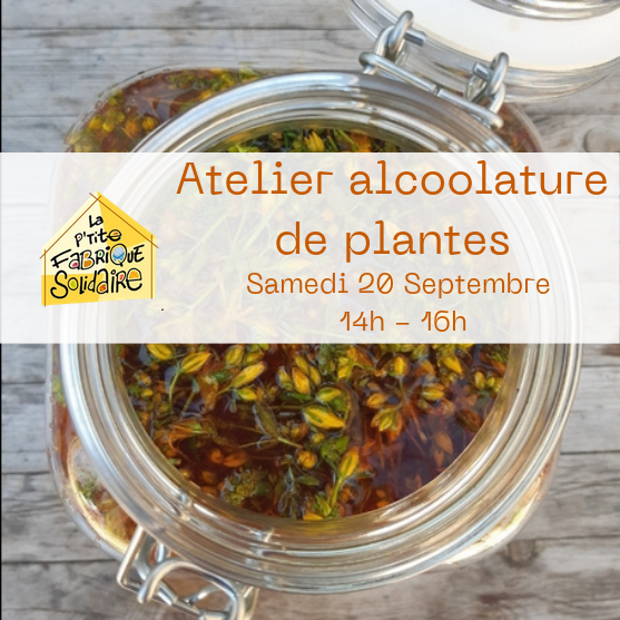 Atelier Alcoolature de plantes