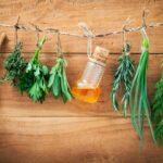 Atelier Vinaigre aromatisé et l’équilibre acido-basique de l’organisme